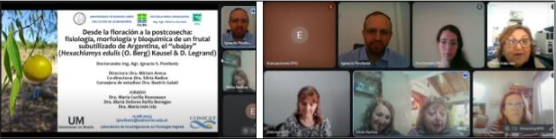 Anotación 2025-08-18 142648